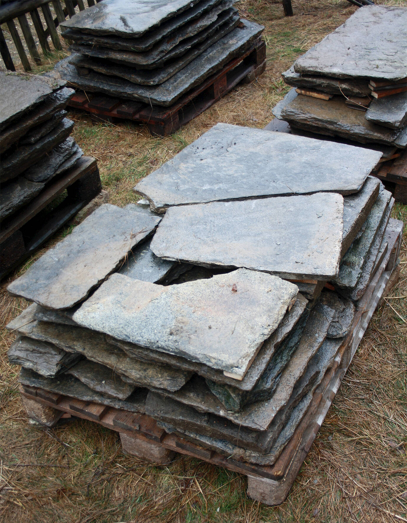 Konvolut Theumaer Fruchtschieferplatten