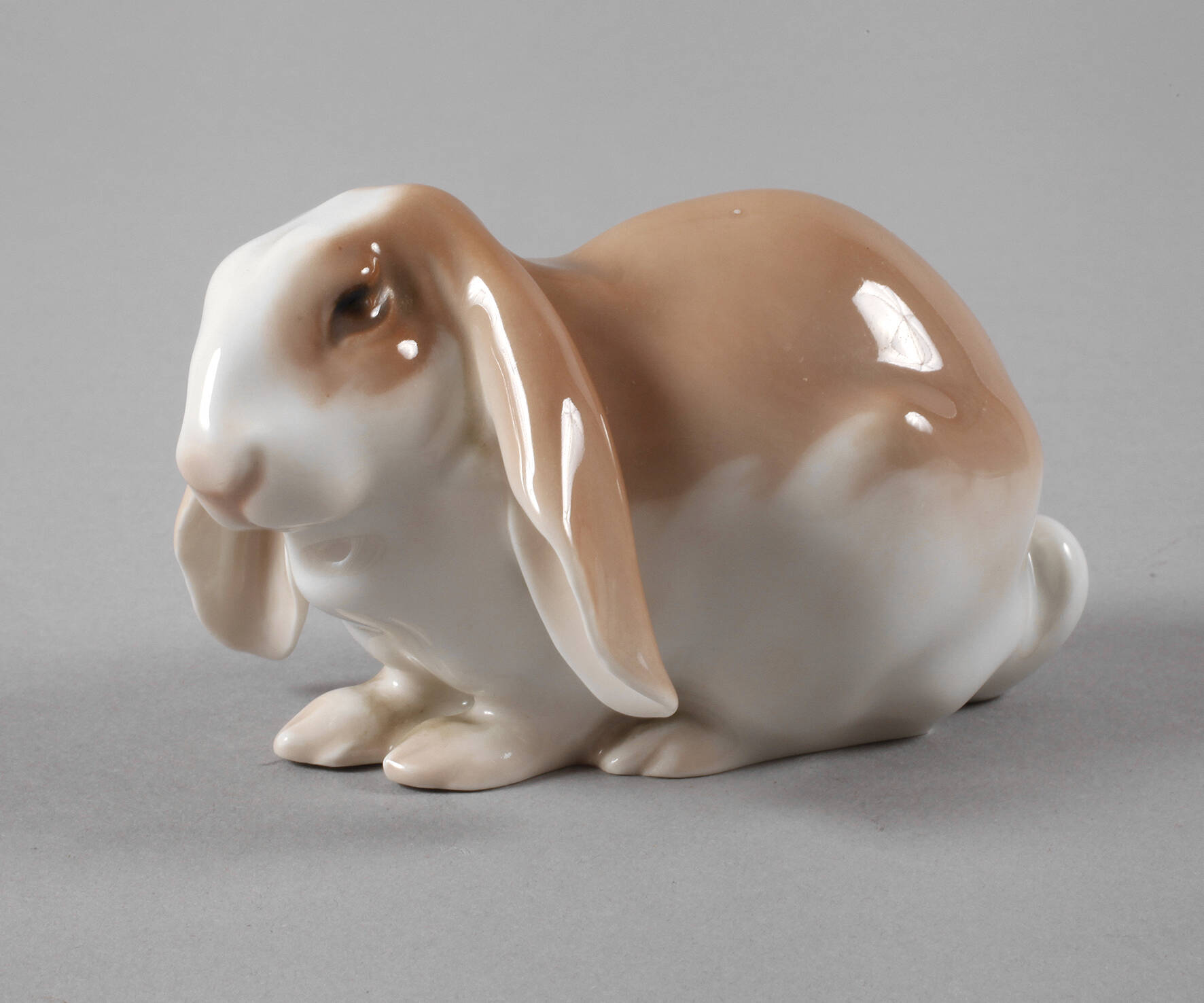 Kopenhagen Widderhase