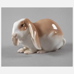 Kopenhagen Widderhase