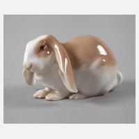 Kopenhagen Widderhase111