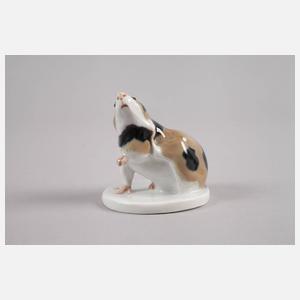 Meissen "Meerschweinchen, sich kratzend"
