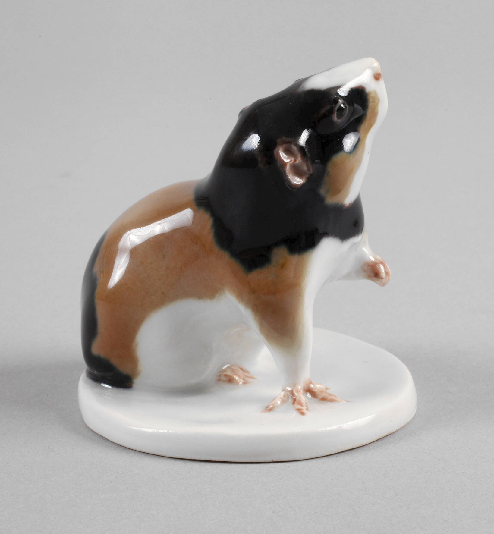 Meissen "Meerschweinchen, sich kratzend"