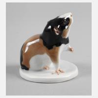 Meissen "Meerschweinchen, sich kratzend"111