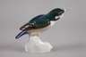 Meissen Eisvogel Paul Walther