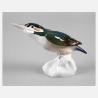 Meissen Eisvogel Paul Walther111