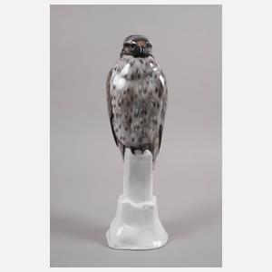 Rosenthal großer Bussard auf Felsen