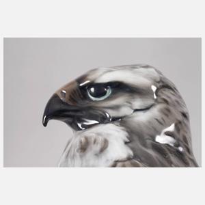 Rosenthal großer Bussard auf Felsen