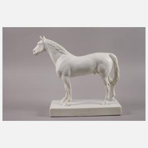 Fürstenberg Rennpferd "Oleander"