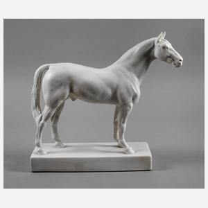 Fürstenberg Rennpferd "Oleander"