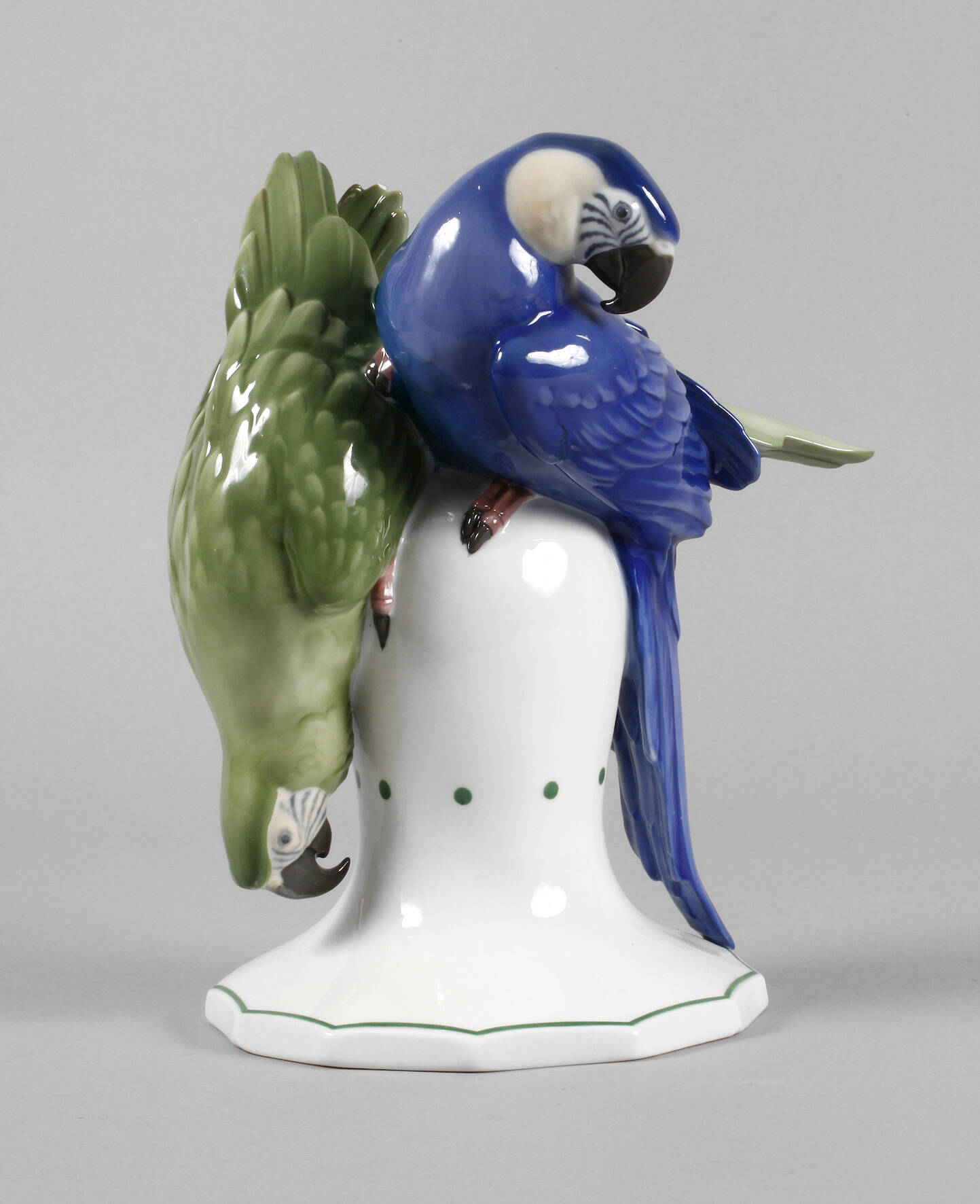 Fraureuth Papageienpaar