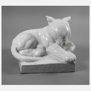 Meissen "Junger Löwe" August Gaul