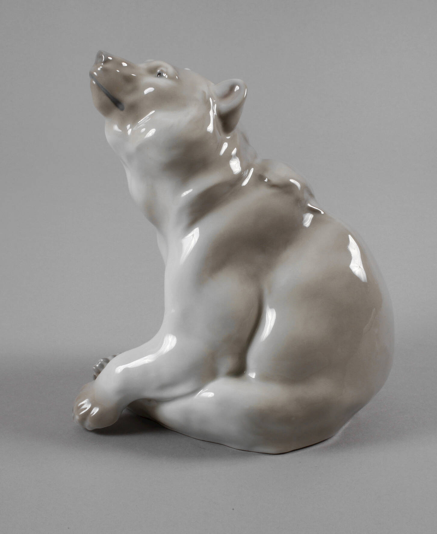 Heubach sitzender Braunbär