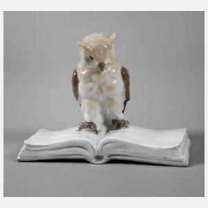 Ilmenau "Büchereule"