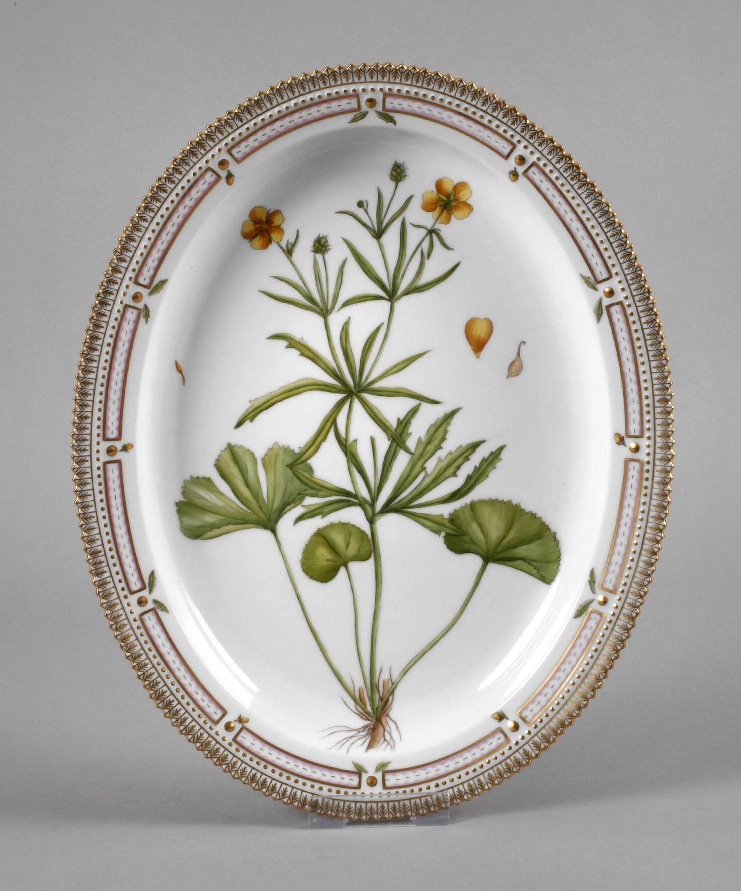 Kopenhagen Platte Flora Danica