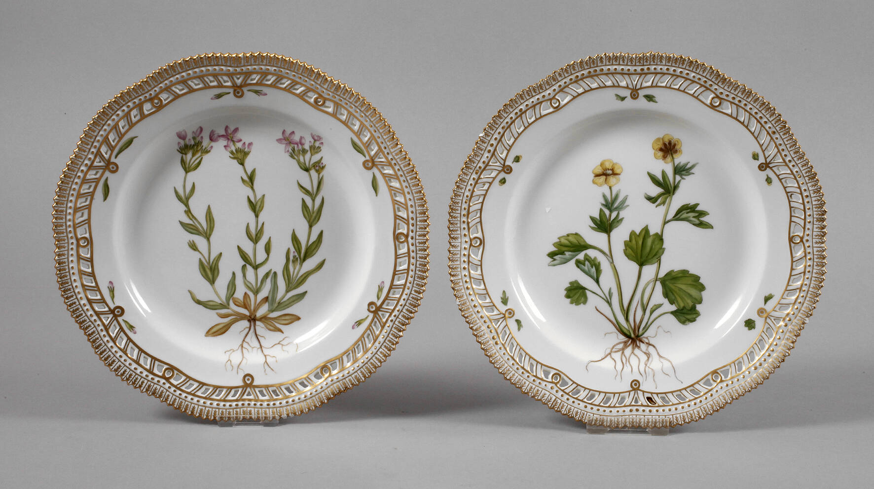 Kopenhagen zwei Teller Flora Danica