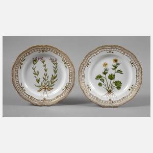 Kopenhagen zwei Teller Flora Danica