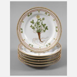 Kopenhagen sechs Teller Flora Danica