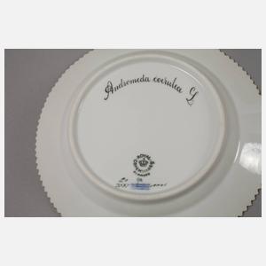 Kopenhagen acht Dessertteller Flora Danica