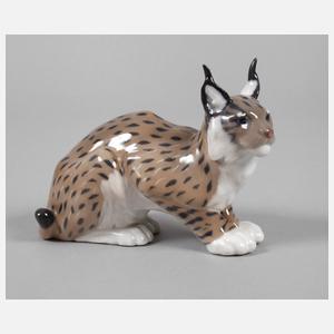 Kopenhagen Luchs