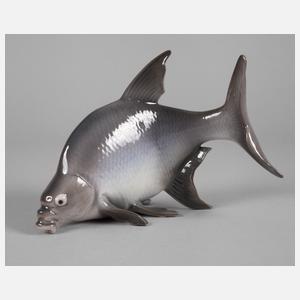 Kopenhagen “Brachse”