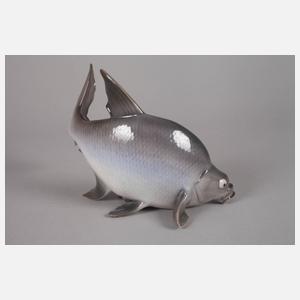 Kopenhagen “Brachse”