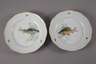 Meissen sechs Fischteller Altozier-Relief