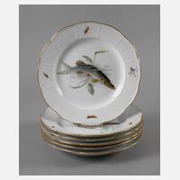 Meissen sechs Fischteller Altozier-Relief111
