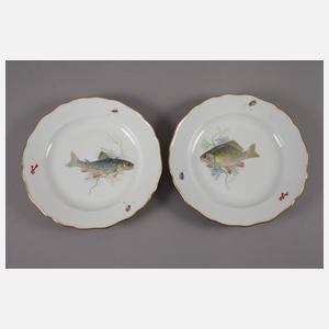 Meissen sechs Fischteller