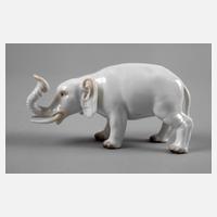 Meissen Elefant111