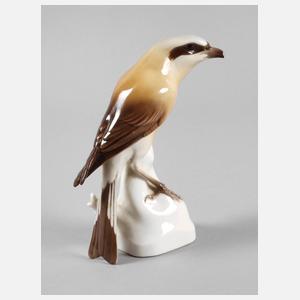 Nymphenburg Vogelfigur "Würger"