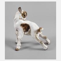 Rosenthal Zicklein111