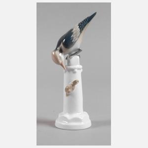 Rosenthal Specht mit Schnecke