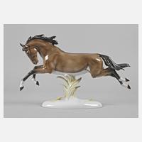 Rosenthal springender Hengst111