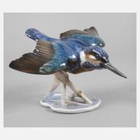 Rosenthal Eisvogel111