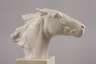 Rosenthal Pferdebüste "Hannibal"