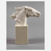 Rosenthal Pferdebüste "Hannibal"111
