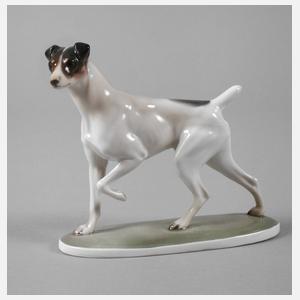 Rosenthal "Foxterrier"