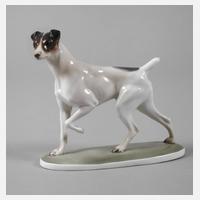 Rosenthal "Foxterrier"111