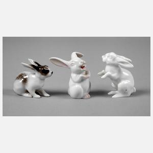 Rosenthal drei Hasen