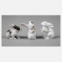 Rosenthal drei Hasen111