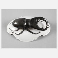 Rosenthal Hirschkäfer111