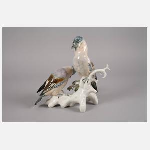 Volkstedt Paar Eichelhäher