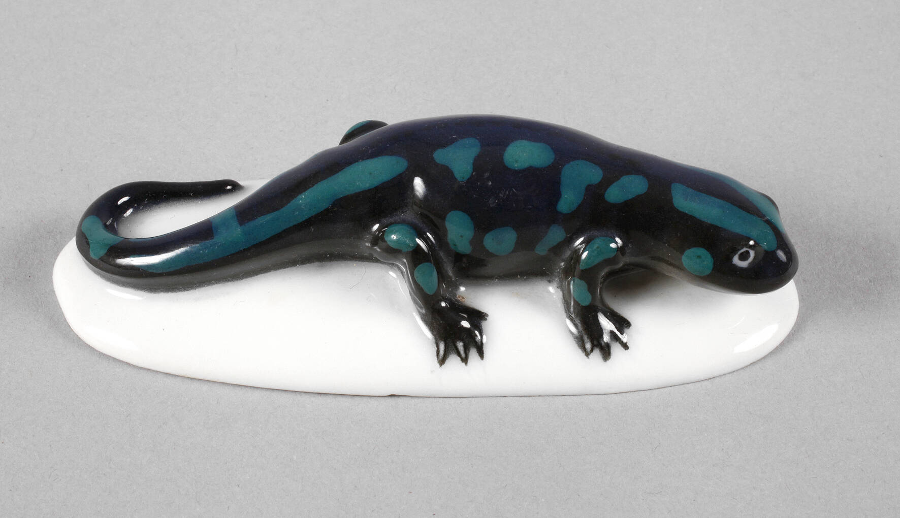 Volkstedt Salamander