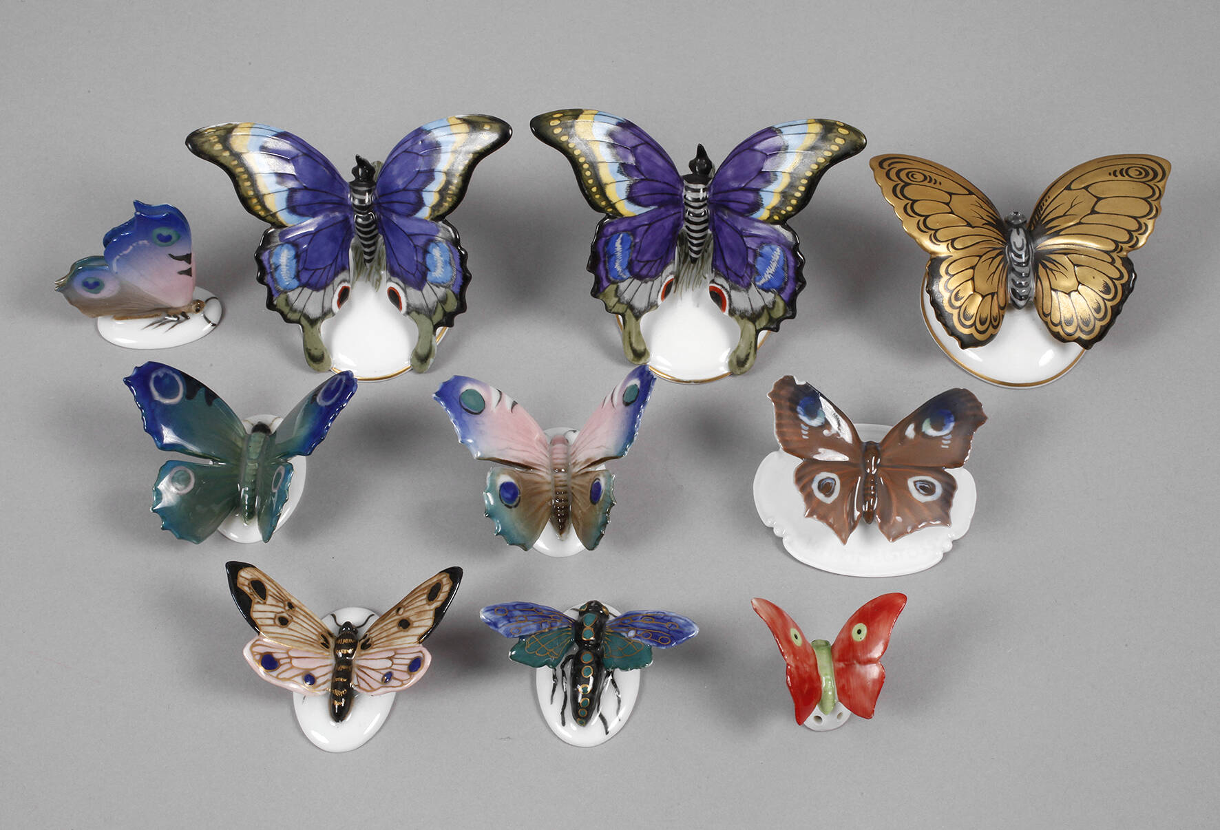 Kleine Schmetterlingssammlung