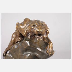 Jaques Merculiano, Tiger