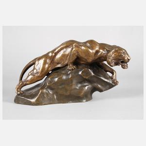 Jaques Merculiano, Tiger