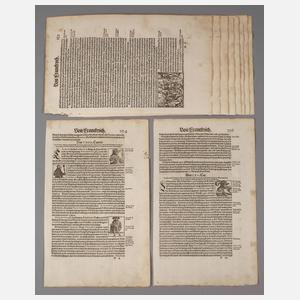 Sammlung Holzschnitte aus Cosmographia