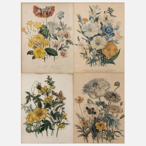 Jane Webb Loudon, vier dekorative Blumenstücke