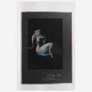 Prof. Luigi Colani, Paar erotische Graphiken