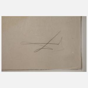 Salvador Dali, Am Strand